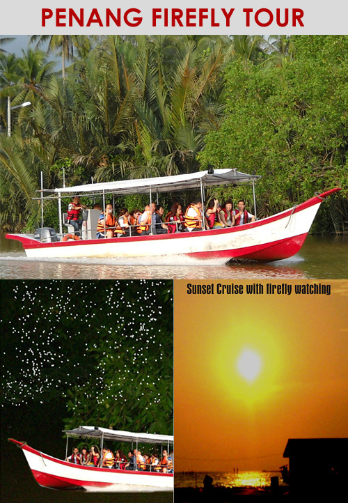 Penang Firefly Tour