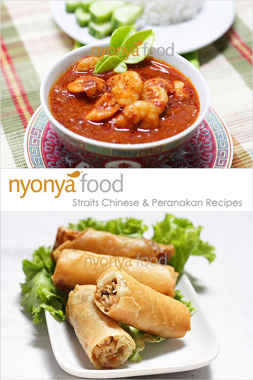 food website. Nyonya food is a site that