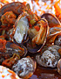 Malaysian-style BBQ Seafood
