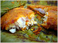 Ikan Panggang