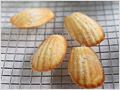 Madeleine