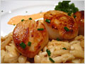 Scallops