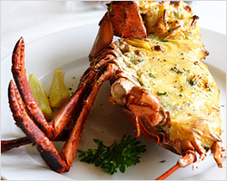 Lobster Recipe: Baked Lobster with Cheese