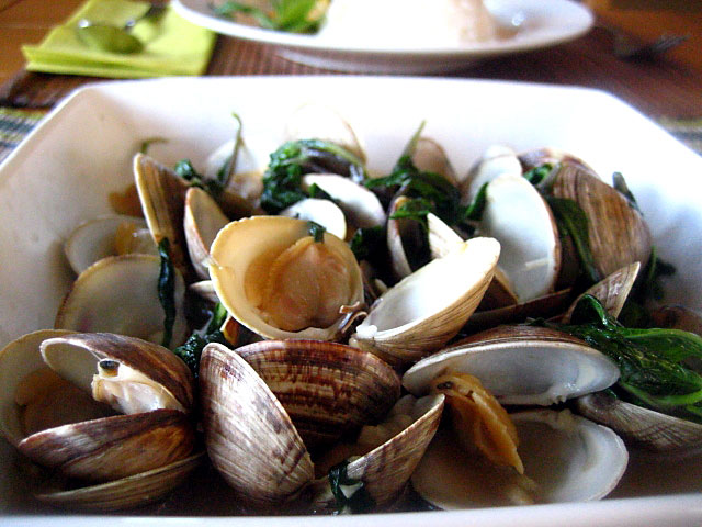 Hard shell clams recipes