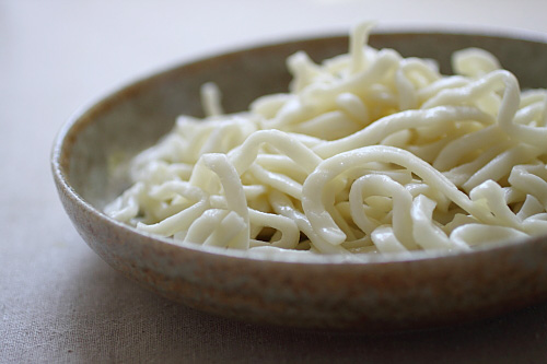 Plain udon noodles, popular Japanese noodles.