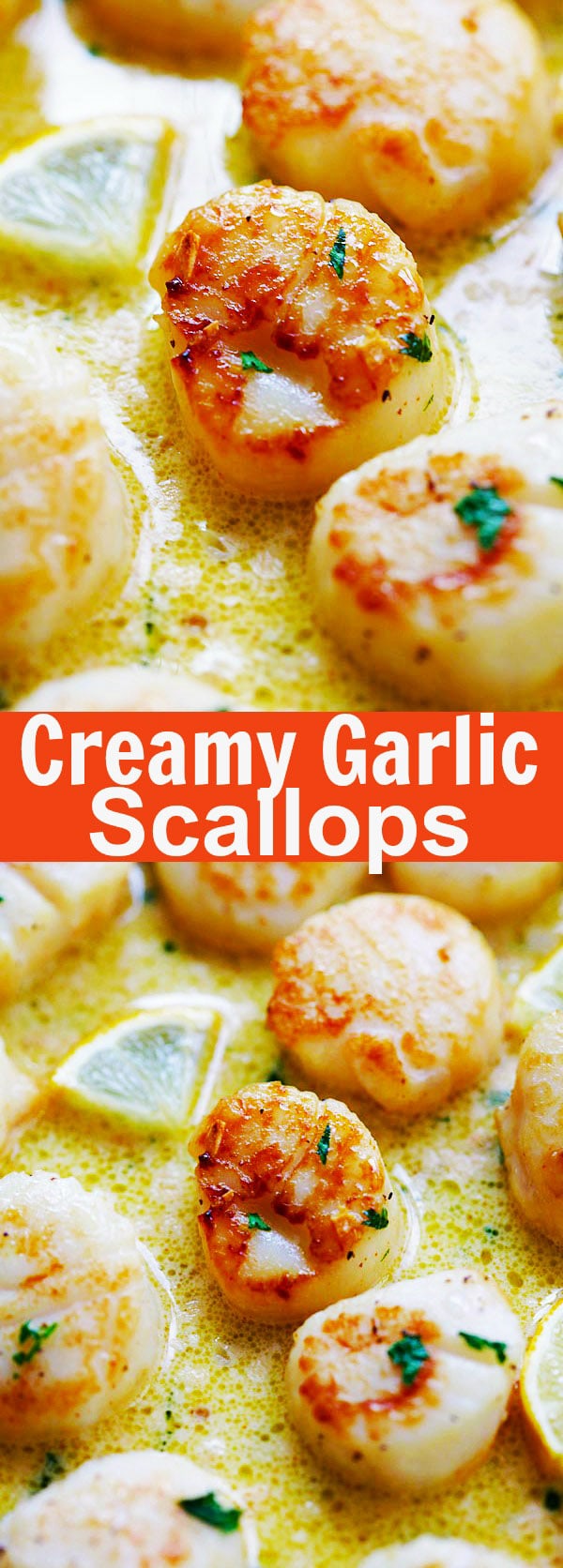 Creamy Garlic Scallops - easiest, creamiest and best scallop recipe ever. Takes only 15 mins, better than restaurants and much cheaper | rasamalaysia.com