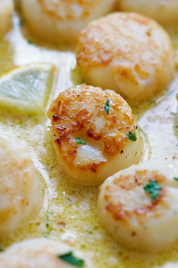 Creamy Garlic Scallops | Easy Delicious Recipes