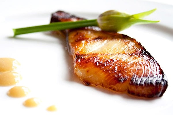 Close up of yummy miso cod, made from black cod, plated and ready to serve.