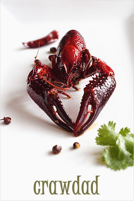 Sichuan Ma La Crawfish 