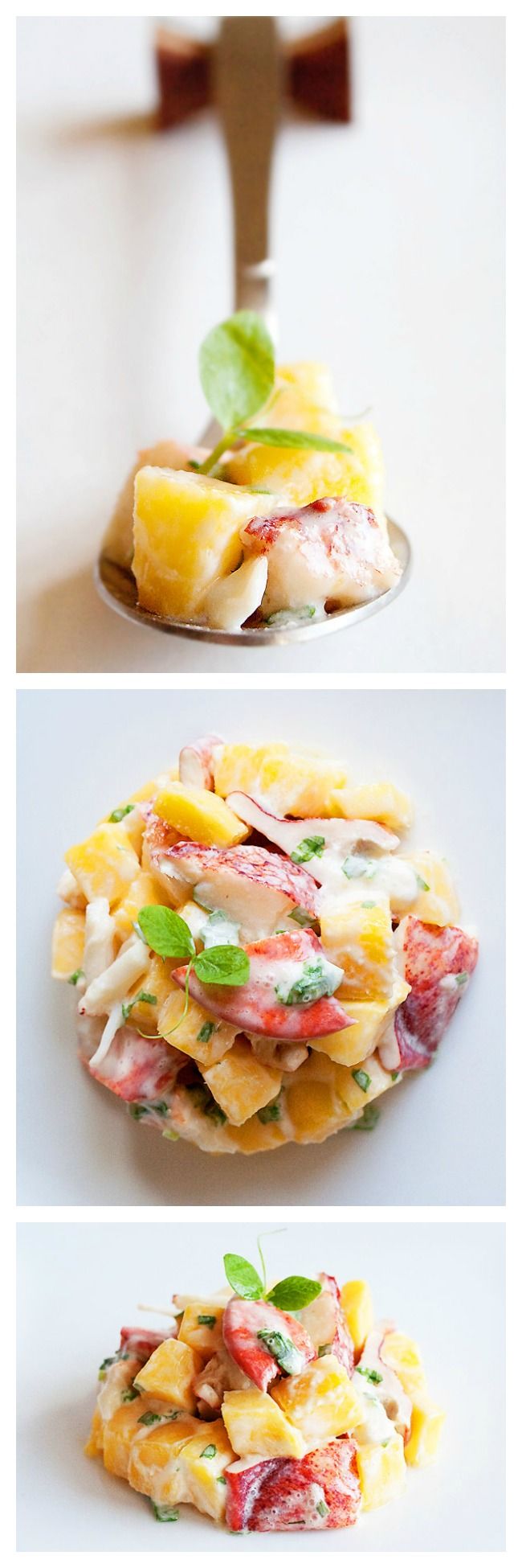 Lobster and mango salad - A refreshing and delicious lobster salad recipe with mango. Lobster and mango salad is a great salad to start a multi-course meal. | rasamalaysia.com