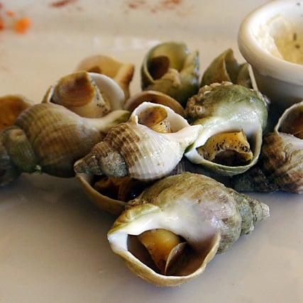 French Snail Dish