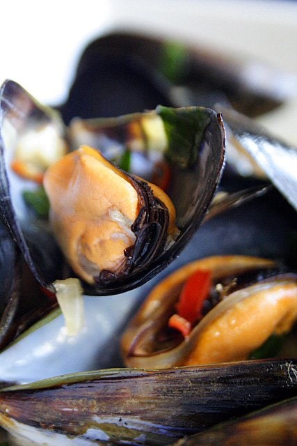 Steamed Mussels with Lemongrass Thai Basil Chilies and Coconut Juice