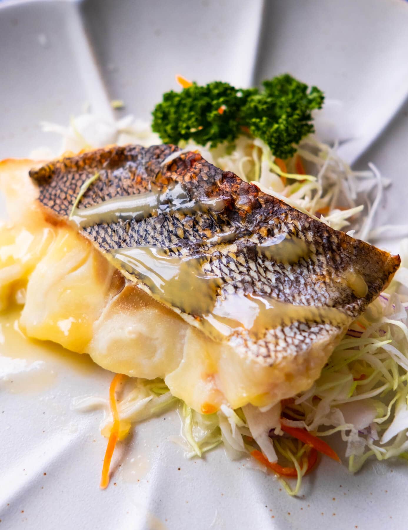 Miso-glazed sea bass served with salad in a plate. 