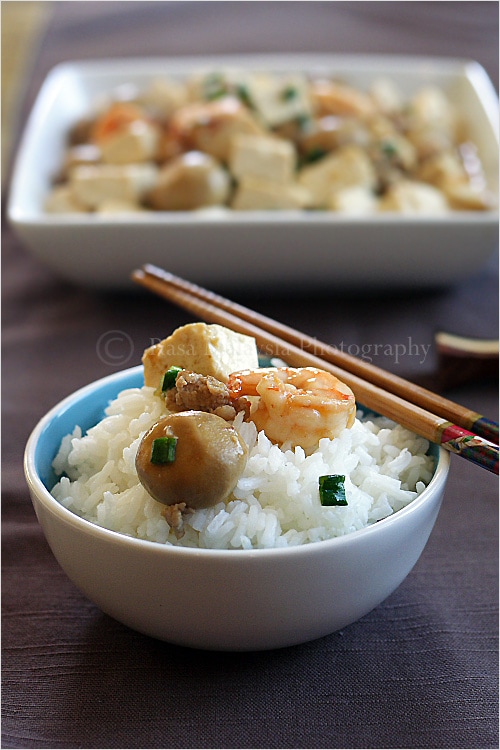 Home-style Tofu Recipe - a block of tofu, some mushrooms (I used canned button mushrooms), ground pork, and shrimp. The sauce is the popular Chinese brown sauce that consists of oyster sauce and soy sauce. | rasamalaysia.com