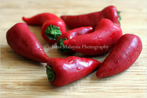 Washed fresh chilies for the making of Sambal Belacan.