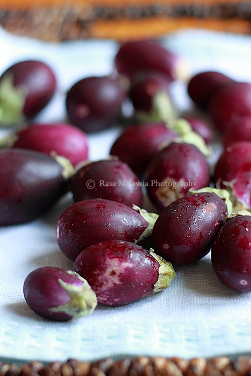 Sambal Eggplant (Aubergine/Brinjal)  Easy Delicious Recipes