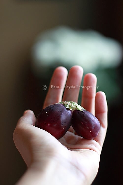 Indian eggplants.