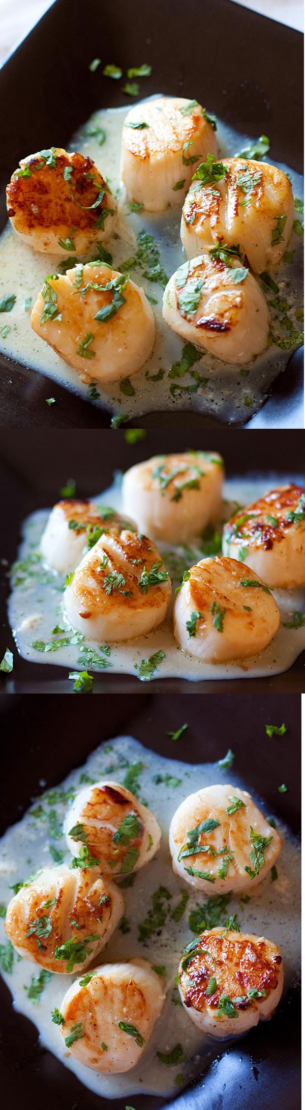 Garlic Herb Seared Scallops - Easy scallops recipe with a cream sauce infused with garlic and herb. So good and restaurant-quality! | rasamalaysia.com