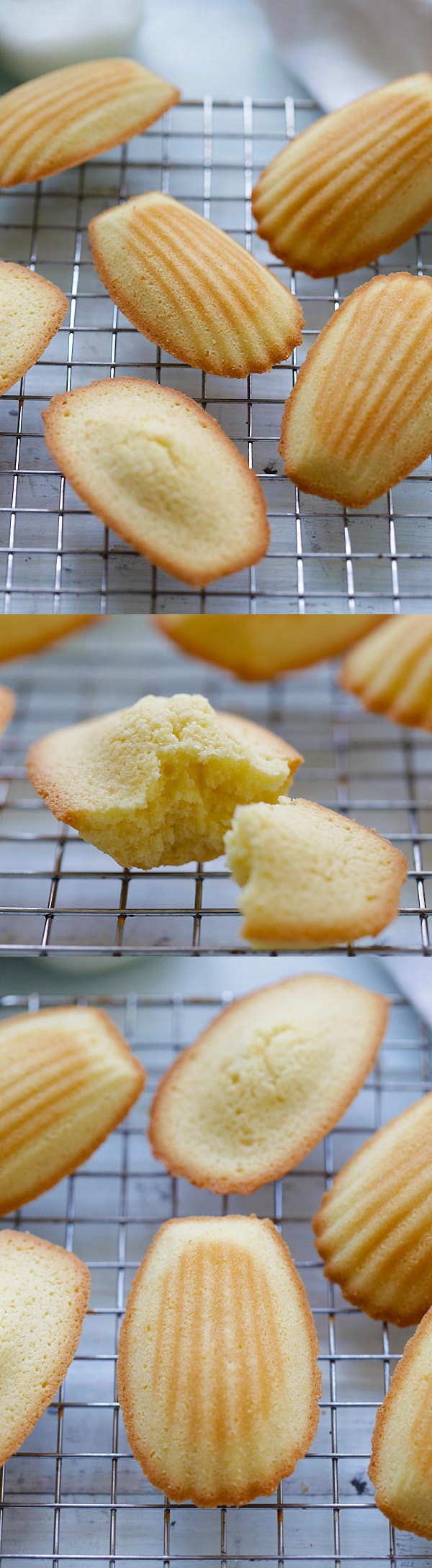 Madeleine is a small butter cake in beautiful shell shape. It's made of butter, eggs and flour. This easy madeleine recipe makes the best little dessert that you just can't stop eating | rasamalaysia.com