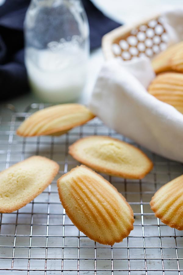 Freshly baked French Madeleines on a cookie rack.