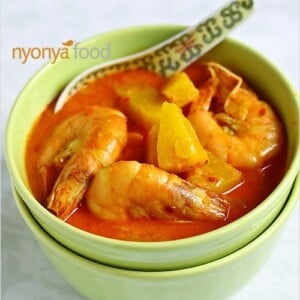 Nyonya Recipes - Rasa Malaysia