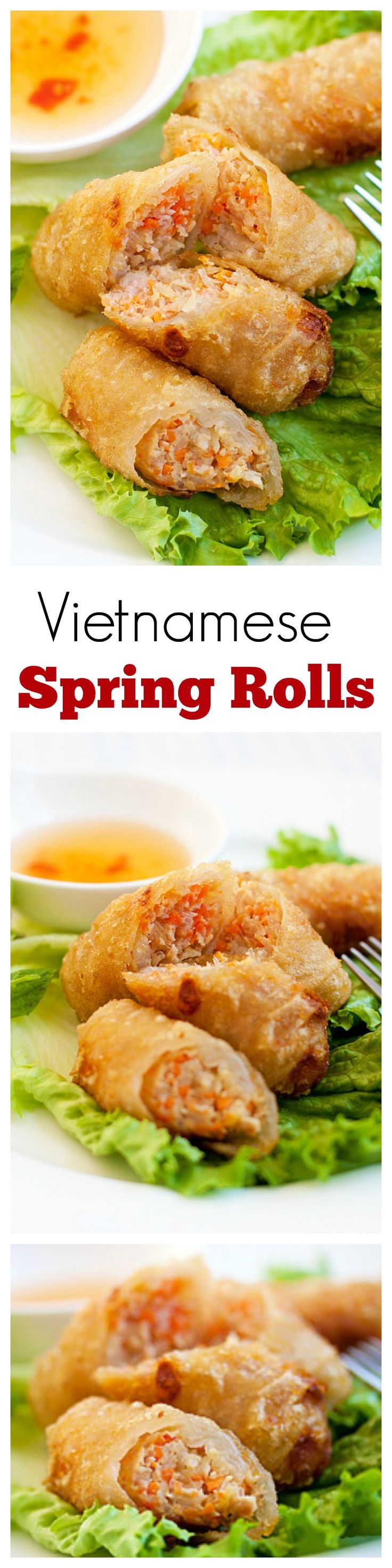 Vietnamese Spring Rolls - Cha Gio - Rasa Malaysia