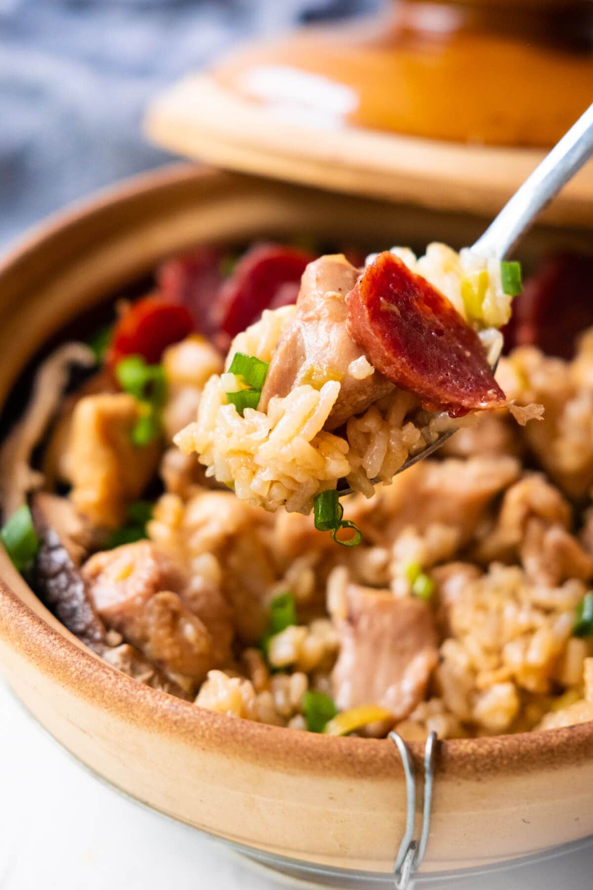 Claypot chicken rice scooped in a spoon. 