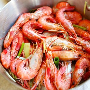 white boiled shrimp