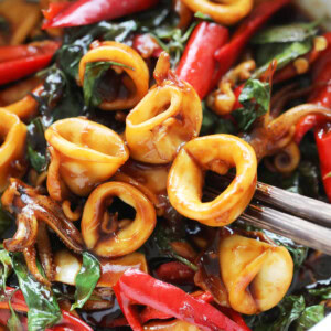 Tender squid rings coated with dark stir-fry Asian sauce.