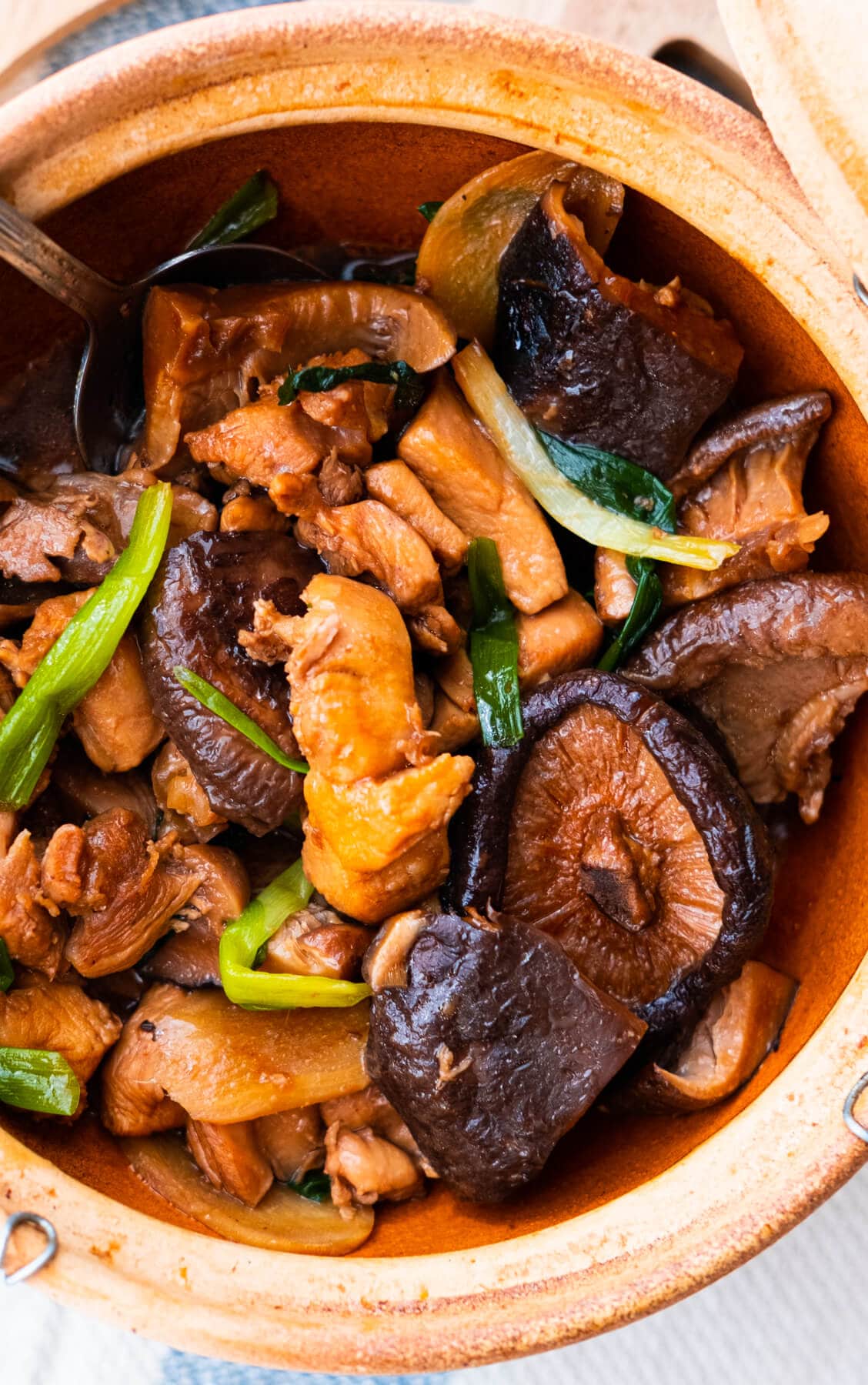 Easy Chinese homemade clay pot chicken with mushroom recipe.