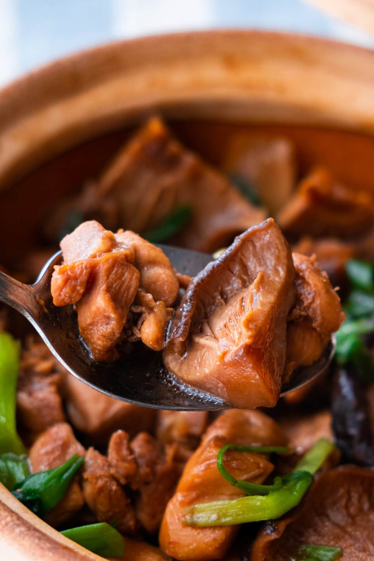 Juicy chicken and mushrooms from the chicken and mushroom stew on a spoon.