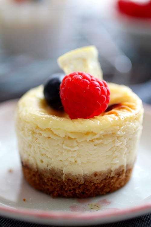 Closed up cute mini lemon cheesecake.