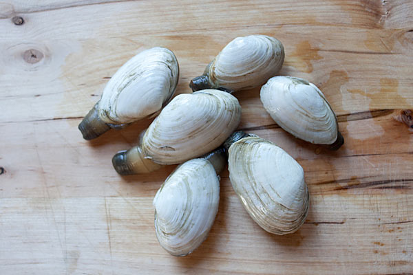 New England steamers (soft shell clams).