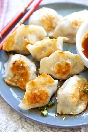 Best Pan-Fried Dumplings - Rasa Malaysia