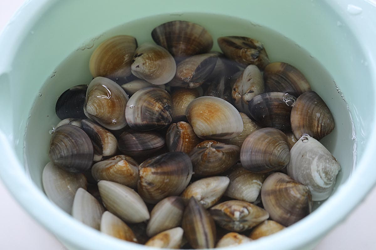 Clams soaked in water. 