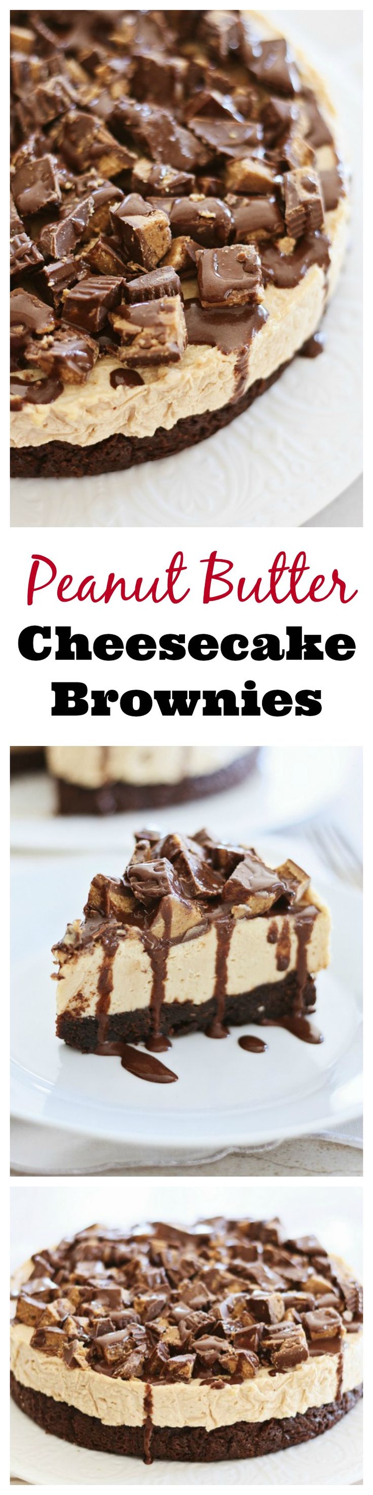 Combine three of the best sweet things into one: peanut butter, cheesecake, and brownies. DECADENT and to-die-for dessert | rasamalaysia.com