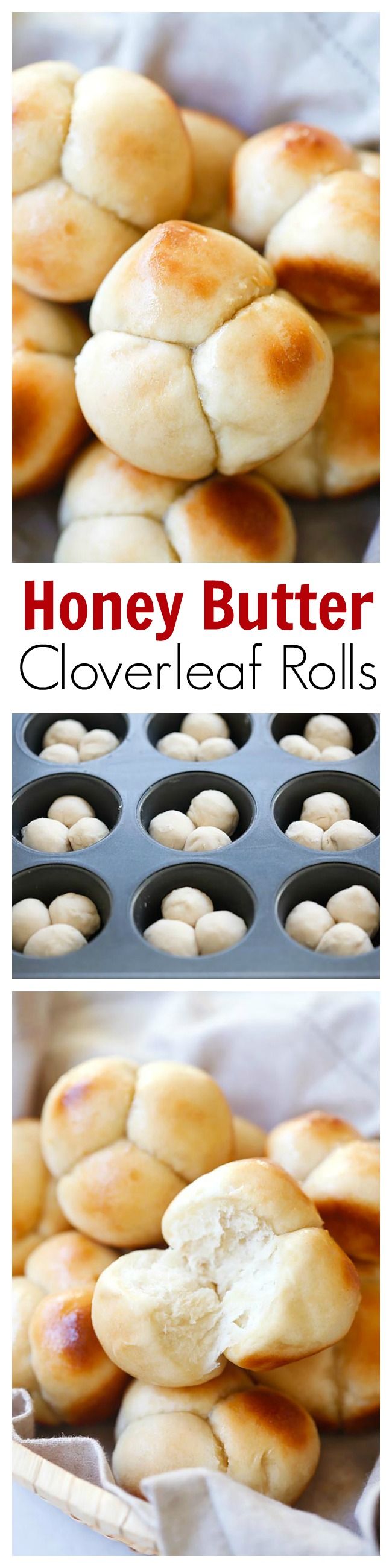 Honey Butter Cloverleaf Rolls – soft, buttery, and sweet pull-apart cloverleaf rolls. Amazing homemade rolls that is perfect for family dinners | rasamalaysia.com