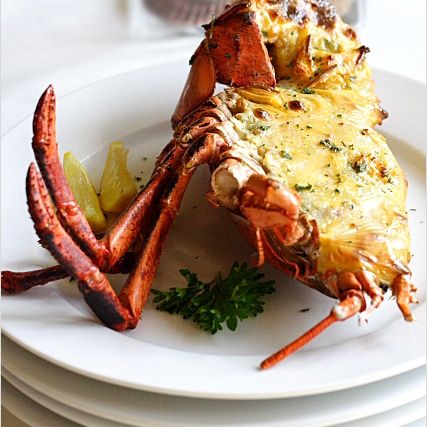 Baked Lobster with Cheese