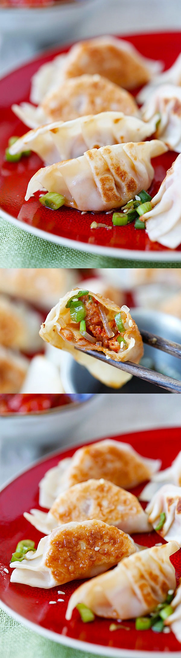 Kimchi Dumplings - Spice up your dumplings by adding kimchi to make juicy, plump and delicious dumplings that you just can't stop eating!! | rasamalaysia.com