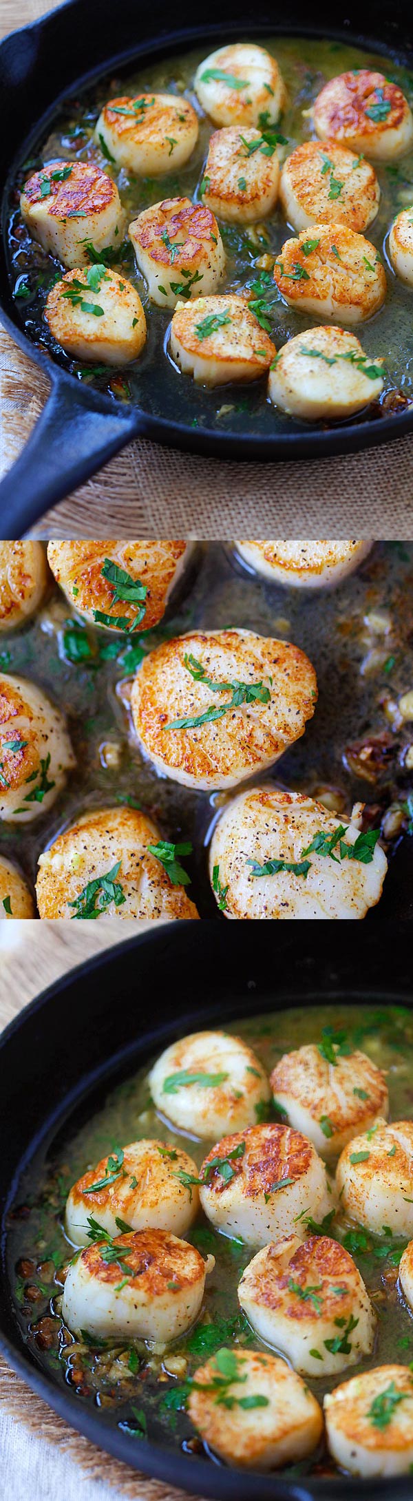 Garlic Scallops – fresh, succulent scallops sauteed with garlic, butter, white wine and parsley. Easy recipe that takes only 15 mins! | rasamalaysia.com