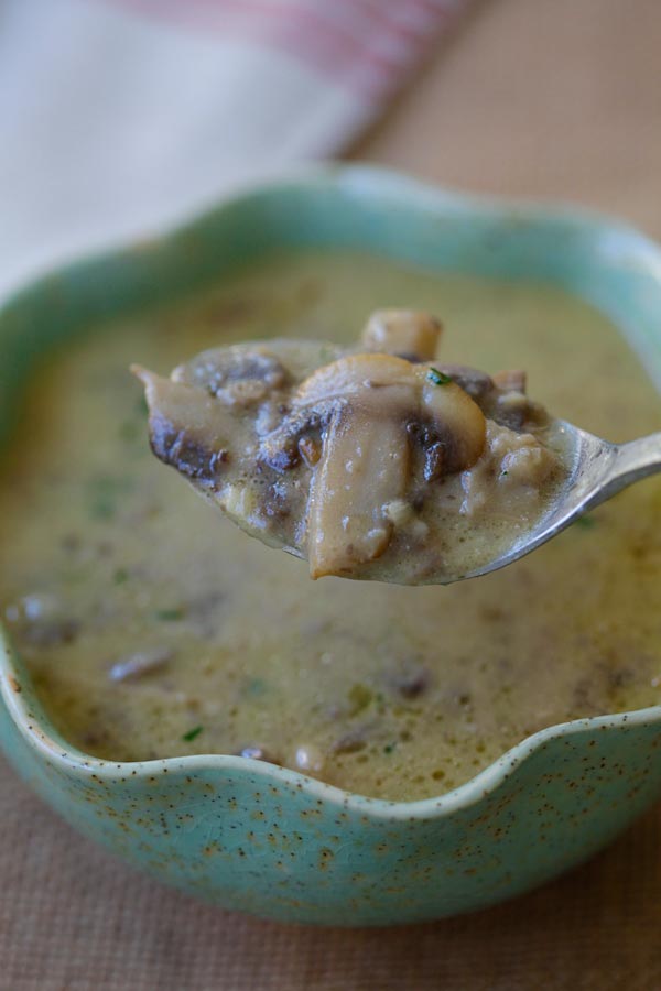 Dairy-Free Cream of Mushroom Soup easy and quick recipe.