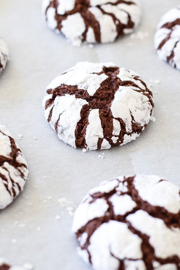 Chocolate crinkle cookies, freshly baked in the oven.