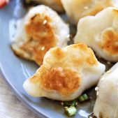 Pan-Fried Dumplings (BEST Easy Fried Dumplings) - Rasa Malaysia