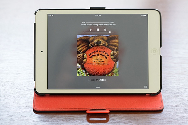 delicious library on ipad