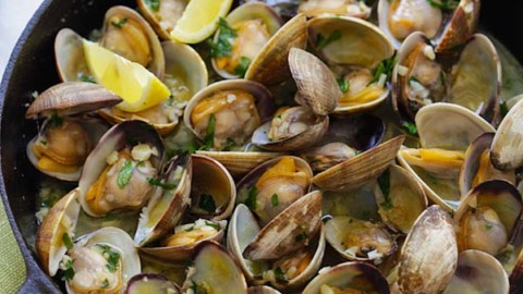 Ckd Short Neck Clams