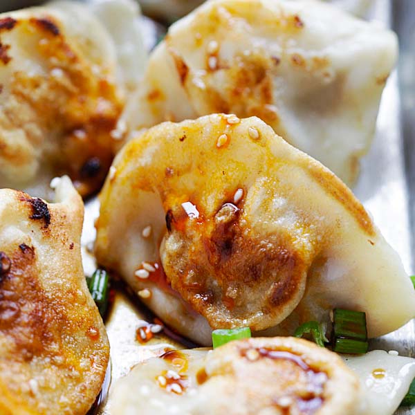 chinese fried dumplings