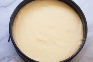 Japanese cheesecake in a pan.