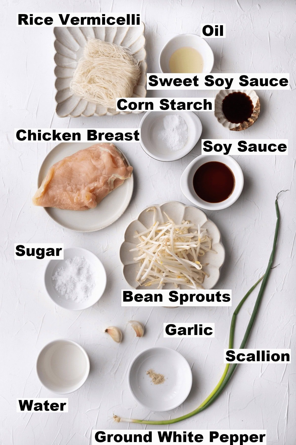 Ingredients for fried rice vermicelli.