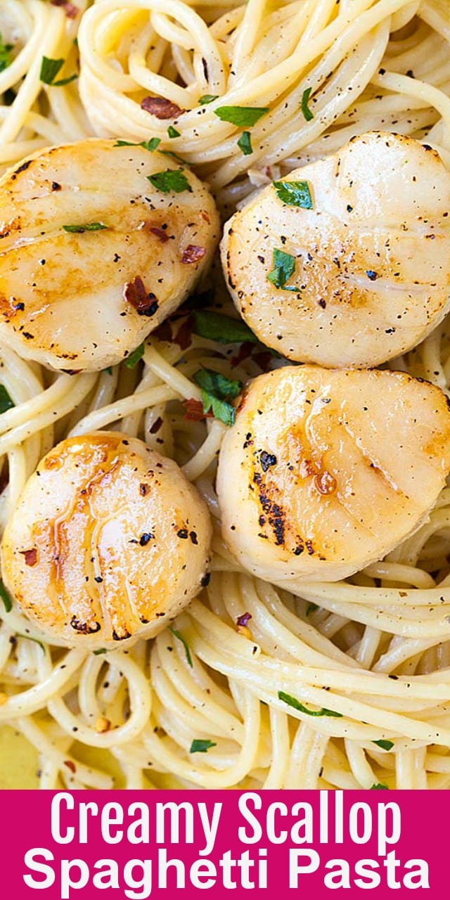 Creamy Scallop Pasta Easy Delicious Recipes