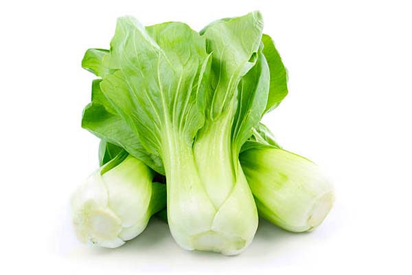 Stock photo of fresh and raw baby bok choy with white stems and green leaves.